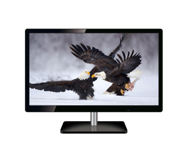 Manta TV MANTA 19" 19LFN88L FHD # - 1383833 - zdjęcie